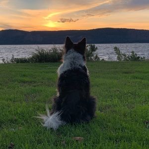 Meet your Posher, Dean